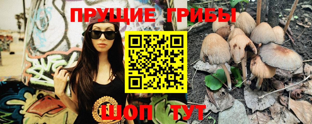 Железногорск  Галлюциногенные грибы Cubensis  Вход с VPN  Галлюциногенные грибы Magic Shrooms 